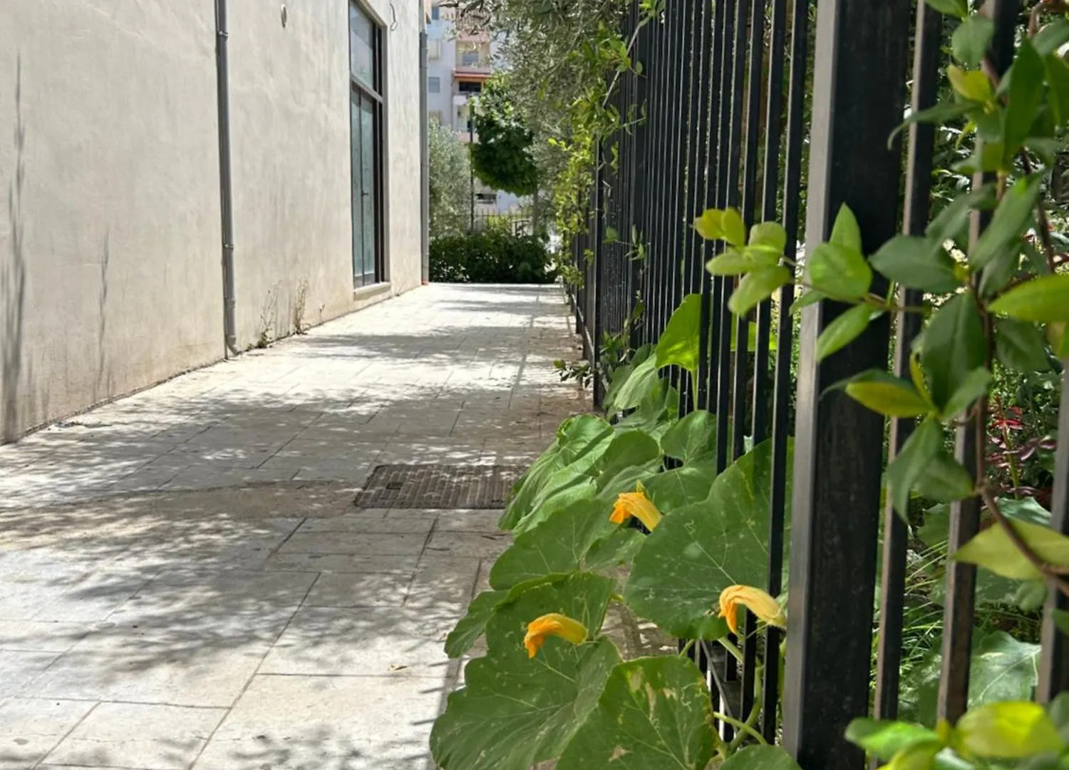 Water Lily Apartments Vlore