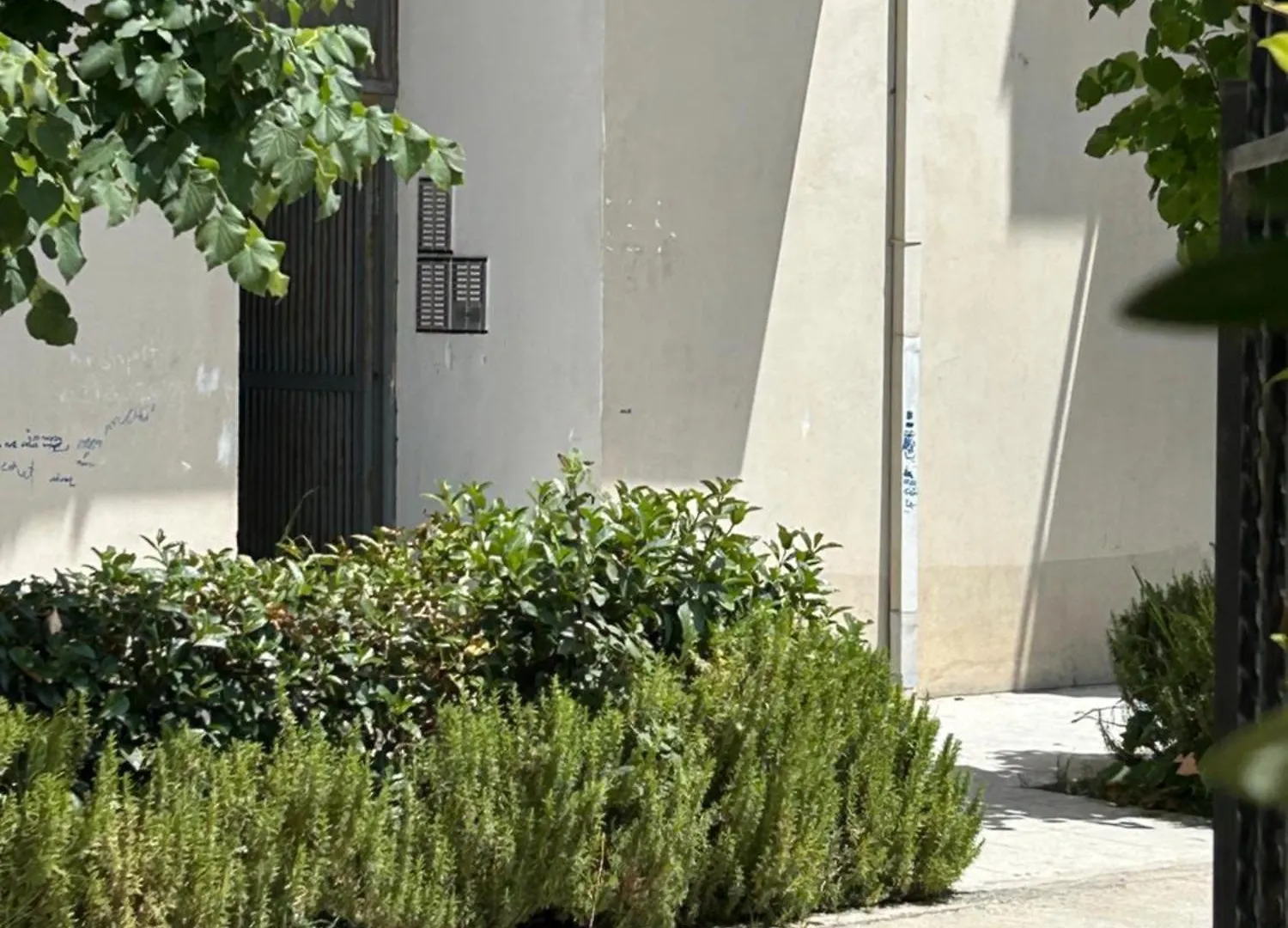 Water Lily Apartments Vlore 0*,